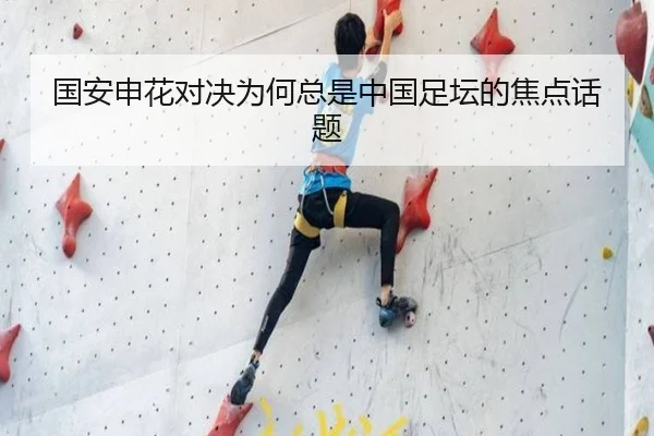 国安申花对决为何总是中国足坛的焦点话题